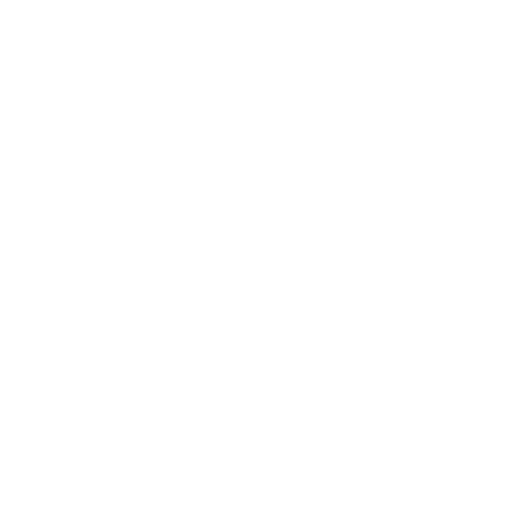 n1